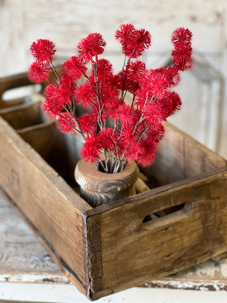 Urchin Buds | 16.5" | Claret | SOLD OUT