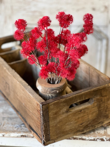Urchin Buds | 16.5" | Claret | SOLD OUT