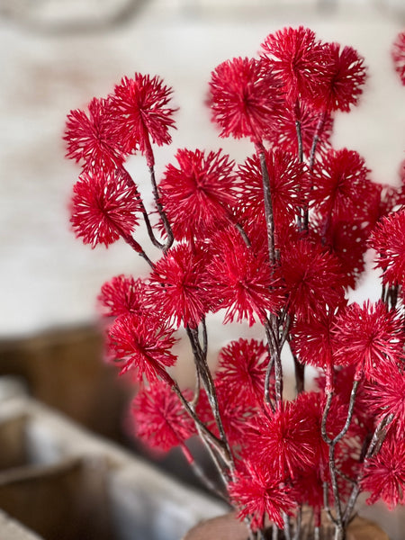 Urchin Buds | 16.5" | Claret | SOLD OUT