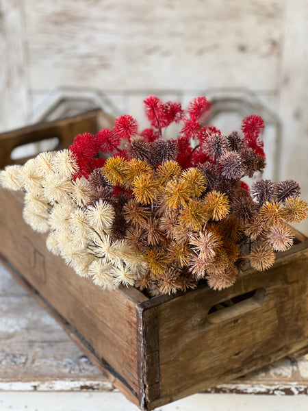 Urchin Buds | 16.5" | Cream | NEW CLOSEOUT + CLEAN UP SPECIAL!  From $2.50 - Last 132pcs!