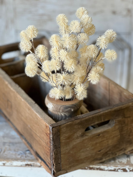 Urchin Buds | 16.5" | Cream | NEW CLOSEOUT + CLEAN UP SPECIAL!  From $2.50 - Last 132pcs!