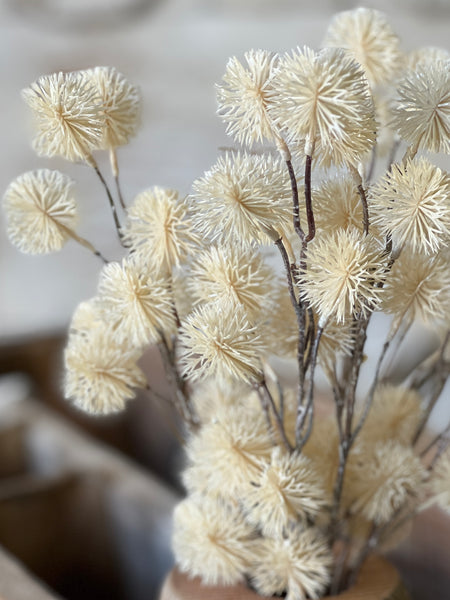 Urchin Buds | 16.5" | Cream | NEW CLOSEOUT + CLEAN UP SPECIAL!  From $2.50 - Last 132pcs!