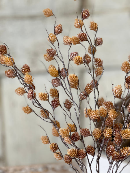 Spur Seed Bush | 18" | Sandalwood | SOLD OUT