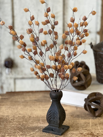 Spur Seed Bush | 18" | Sandalwood | SOLD OUT