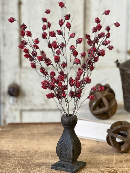 Spur Seed Bush | 18" | Claret | SOLD OUT
