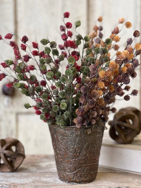 Spur Seed Bush | 18" | Sandalwood | SOLD OUT