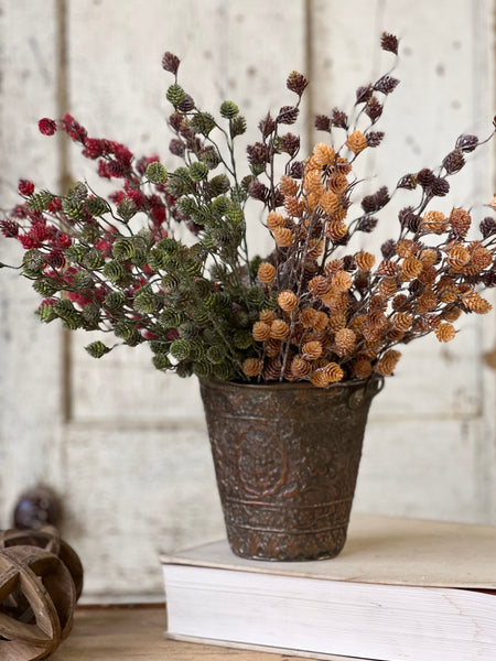 Spur Seed Bush | 18" | Claret | SOLD OUT