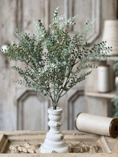 Tatler Leaves Bush | 19" | NOT CURRENTLY IN STOCK - Spring 2026