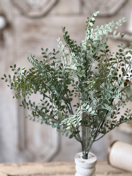 Tatler Leaves Bush | 19" | NOT CURRENTLY IN STOCK - Spring 2026