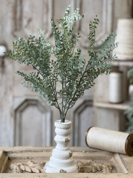 Tatler Leaves Bush | 19" | NOT CURRENTLY IN STOCK - Spring 2026