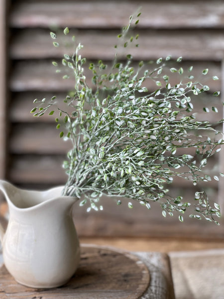 Little Luna Bundle | 15" | Green | NOT CURRENTLY IN STOCK - Spring 2026