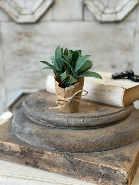 Tolliver Pot | 6" | Mint | NOT CURRENTLY IN STOCK-New For Spring 2027!