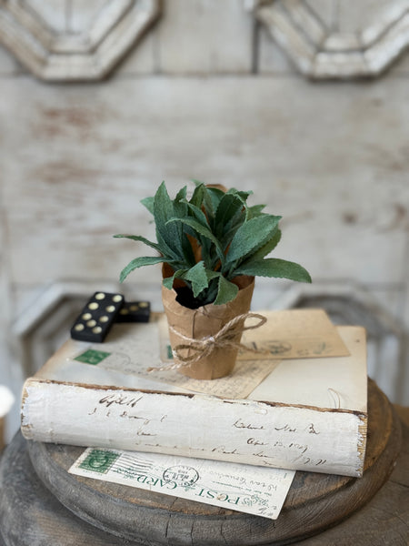 Tolliver Pot | 6" | Mint | NOT CURRENTLY IN STOCK-New For Spring 2027!
