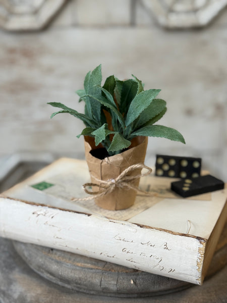 Tolliver Pot | 6" | Mint | NOT CURRENTLY IN STOCK-New For Spring 2027!