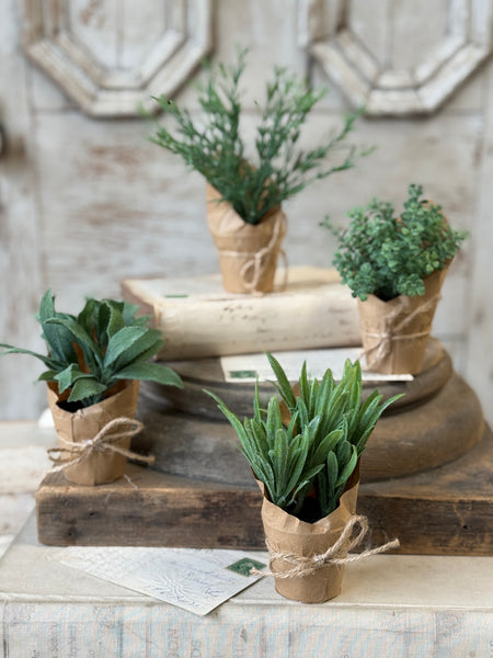 Tolliver Pot | 5.5" | Thyme | NOT CURRENTLY IN STOCK-New For Spring 2027!