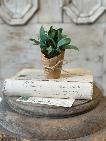 Tolliver Pot | 6" | Mint | NOT CURRENTLY IN STOCK-New For Spring 2027!