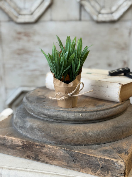 Tolliver Pot | 6" | Sage | NOT CURRENTLY IN STOCK-New For Spring 2027!