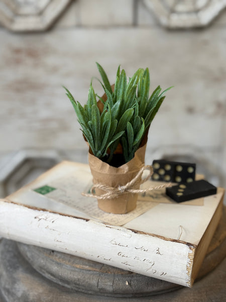 Tolliver Pot | 6" | Sage | NOT CURRENTLY IN STOCK-New For Spring 2027!