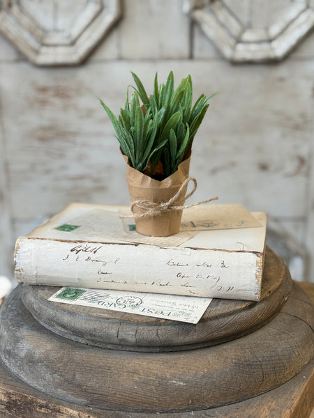 Tolliver Pot | 6" | Sage | NOT CURRENTLY IN STOCK-New For Spring 2027!