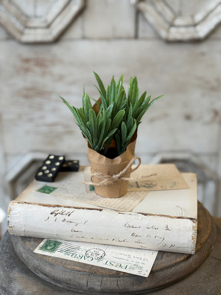 Tolliver Pot | 6" | Sage | NOT CURRENTLY IN STOCK-New For Spring 2027!