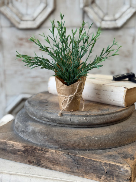 Tolliver Pot | 8" | Rosemary | NOT CURRENTLY IN STOCK-New For Spring 2027!