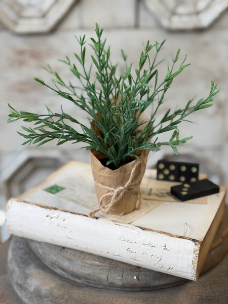 Tolliver Pot | 8" | Rosemary | NOT CURRENTLY IN STOCK-New For Spring 2027!