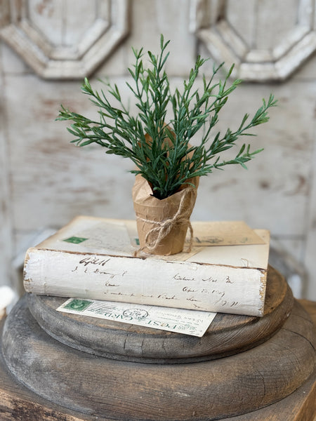 Tolliver Pot | 8" | Rosemary | NOT CURRENTLY IN STOCK-New For Spring 2027!