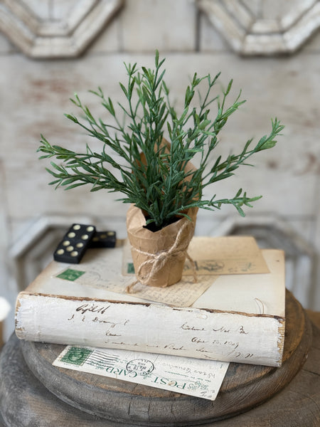 Tolliver Pot | 8" | Rosemary | NOT CURRENTLY IN STOCK-New For Spring 2027!