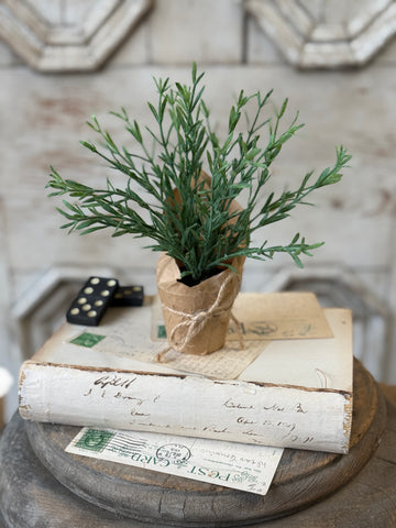 Tolliver Pot | 8" | Rosemary | NOT CURRENTLY IN STOCK-New For Spring 2027!