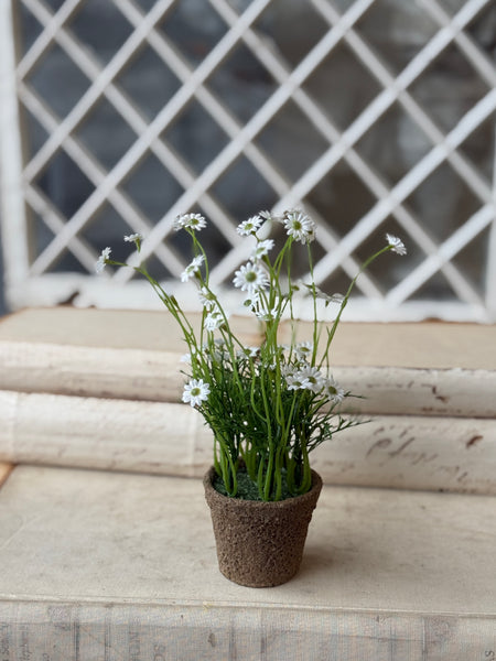 Windowsill Pot | 9" | White | NOT CURRENTLY IN STOCK-New For Spring 2027!