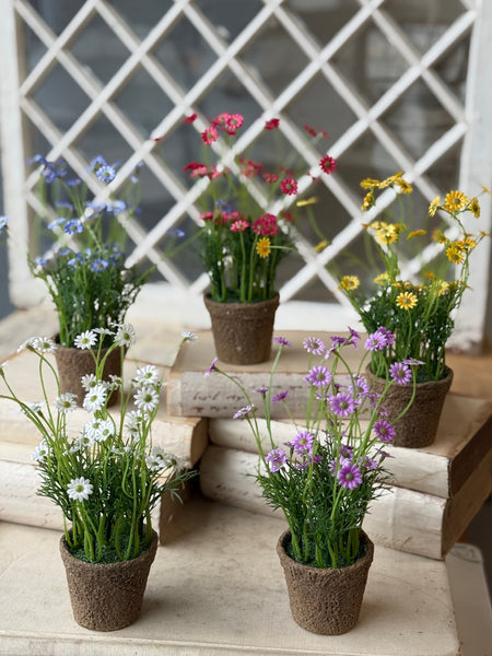 Windowsill Pot | 9" | Blue | NOT CURRENTLY IN STOCK-New For Spring 2027!