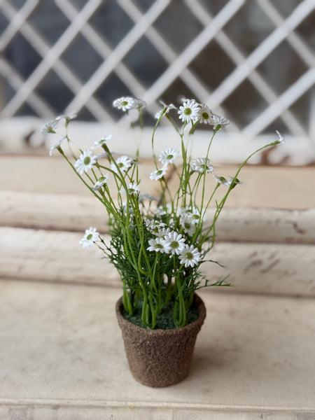 Windowsill Pot | 9" | White | NOT CURRENTLY IN STOCK-New For Spring 2027!