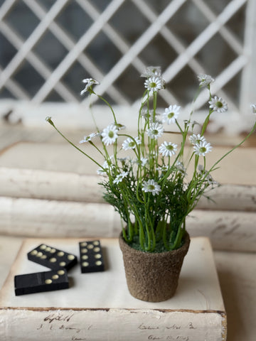 Windowsill Pot | 9" | White | NOT CURRENTLY IN STOCK-New For Spring 2027!