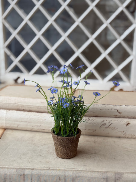 Windowsill Pot | 9" | Blue | NOT CURRENTLY IN STOCK-New For Spring 2027!