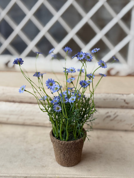 Windowsill Pot | 9" | Blue | NOT CURRENTLY IN STOCK-New For Spring 2027!