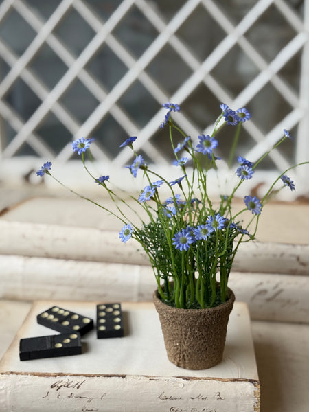 Windowsill Pot | 9" | Blue | NOT CURRENTLY IN STOCK-New For Spring 2027!