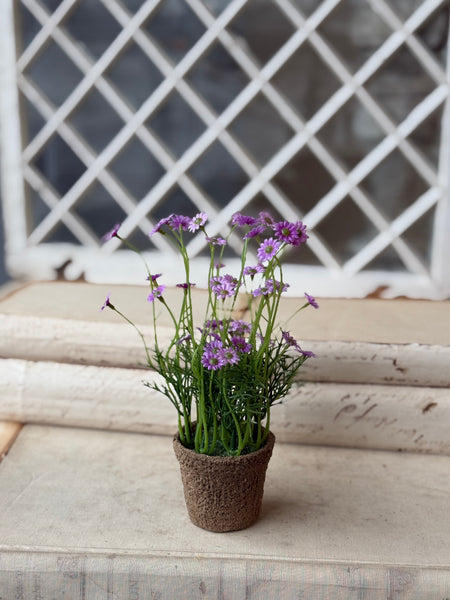 Windowsill Pot | 9" | Lavender | NOT CURRENTLY IN STOCK-New For Spring 2027!