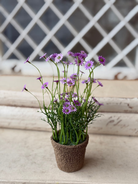 Windowsill Pot | 9" | Lavender | NOT CURRENTLY IN STOCK-New For Spring 2027!