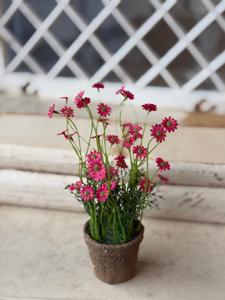 Windowsill Pot | 9" | Beauty | NOT CURRENTLY IN STOCK-New For Spring 2027!
