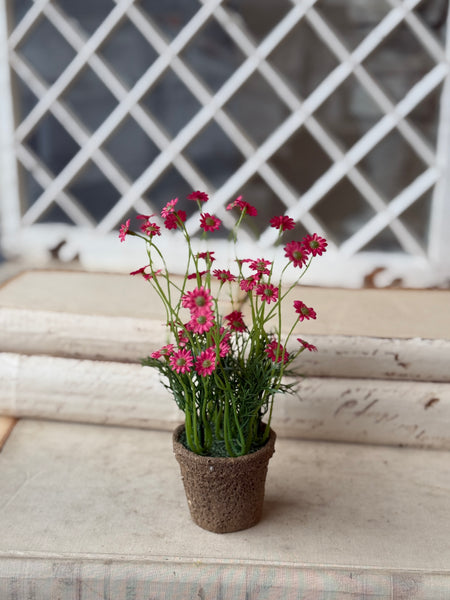 Windowsill Pot | 9" | Beauty | NOT CURRENTLY IN STOCK-New For Spring 2027!