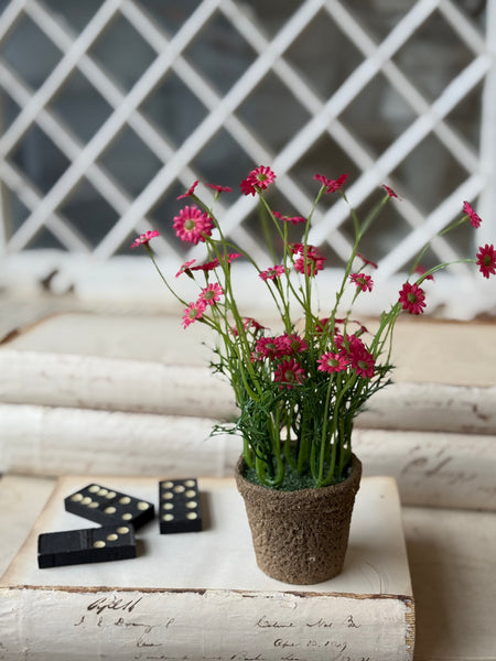 Windowsill Pot | 9" | Beauty | NOT CURRENTLY IN STOCK-New For Spring 2027!