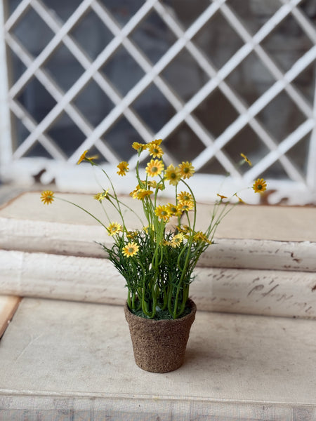 Windowsill Pot | 9" | Yellow | NOT CURRENTLY IN STOCK-New For Spring 2027!
