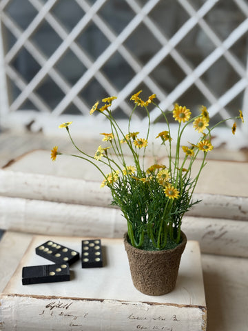 Windowsill Pot | 9" | Yellow | NOT CURRENTLY IN STOCK-New For Spring 2027!