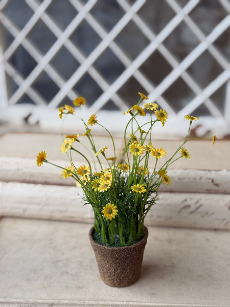 Windowsill Pot | 9" | Yellow | NOT CURRENTLY IN STOCK-New For Spring 2027!