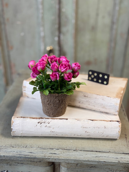 Pixi Posie Pot | 5" | Beauty | NOT CURRENTLY IN STOCK-New For Spring 2027!