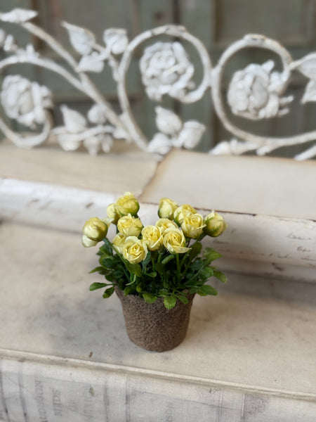 Pixi Posie Pot | 5" | Yellow | NOT CURRENTLY IN STOCK-New For Spring 2027!