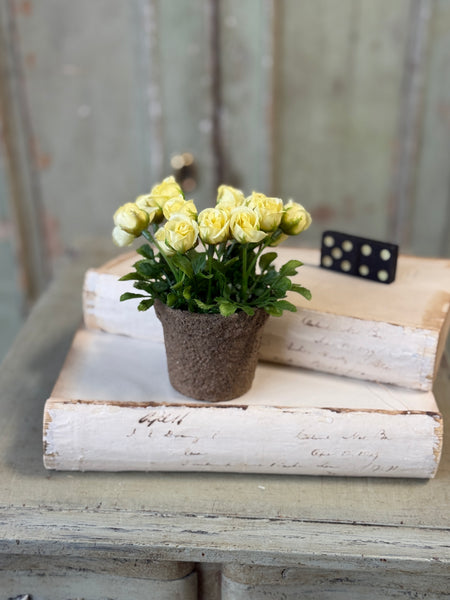 Pixi Posie Pot | 5" | Yellow | NOT CURRENTLY IN STOCK-New For Spring 2027!