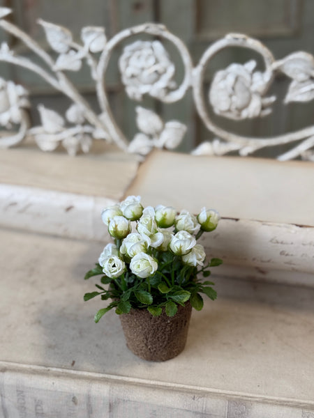 Pixi Posie Pot | 5" | Cream | NOT CURRENTLY IN STOCK-New For Spring 2027!