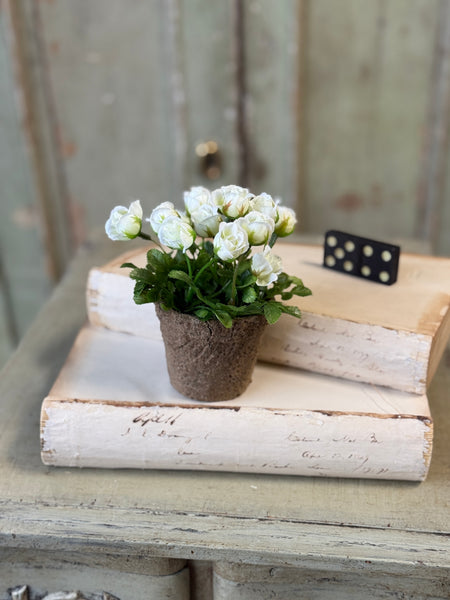 Pixi Posie Pot | 5" | Cream | NOT CURRENTLY IN STOCK-New For Spring 2027!