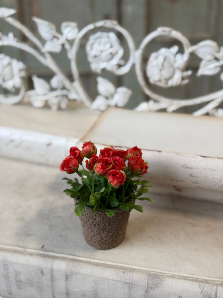 Pixi Posie Pot | 5" | Flame | NOT CURRENTLY IN STOCK-New For Spring 2027!
